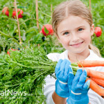 Child-In-Garden-Planting-Vegetables-Carrots