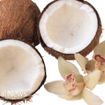 Coconuts