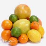 Orange-Lemon-Lime-Grapefruit-Bunch