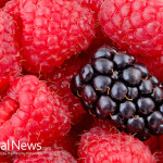 Raspberries-Blackberry-Fruit-Food-Organic