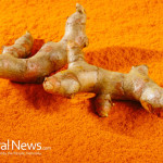 Turmeric-Powder-Root