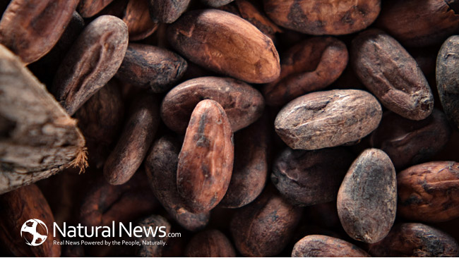 Download this Cocoa Beans Chocolate picture